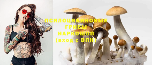 бутират Каменногорск
